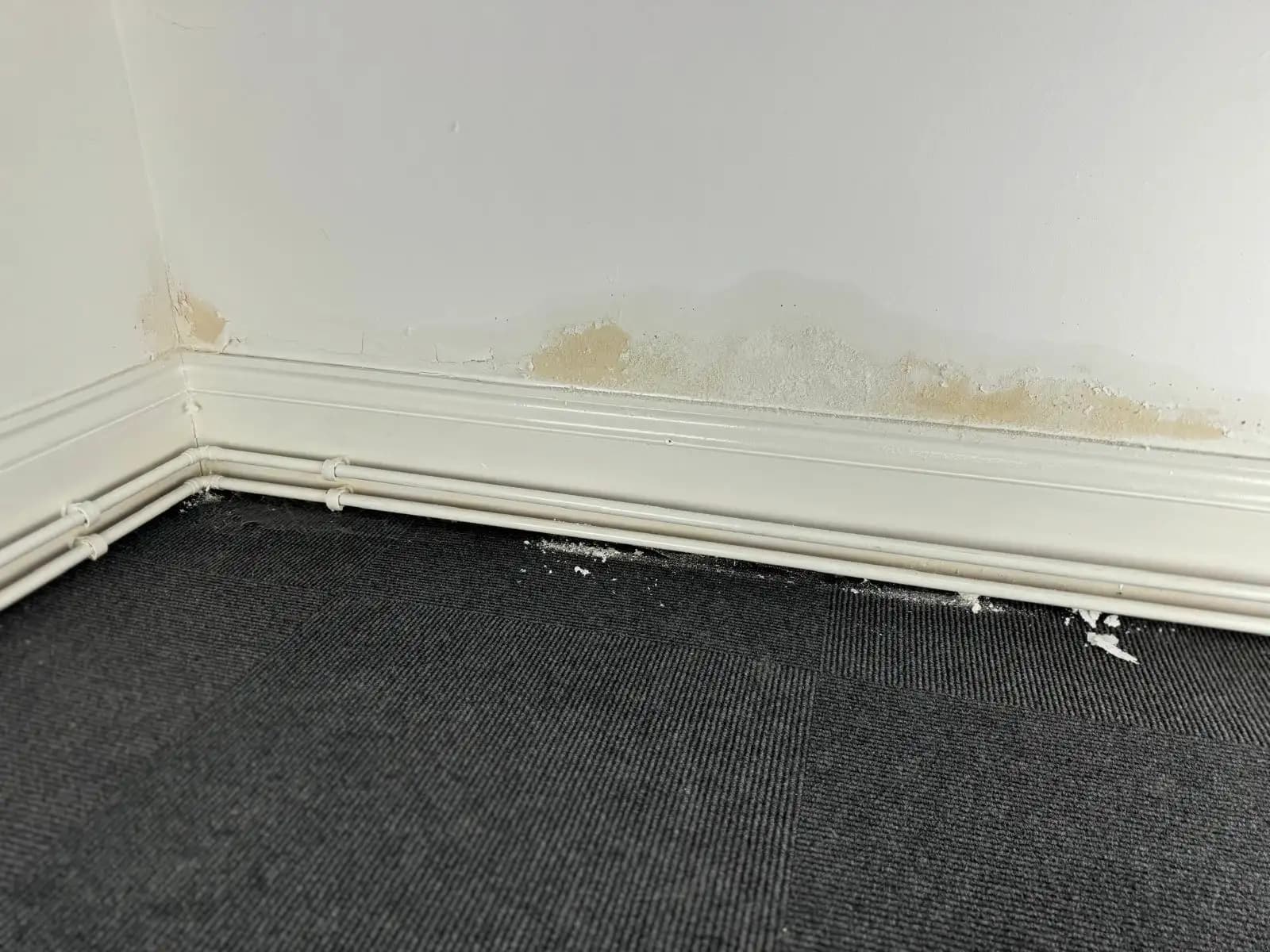 Eight tell tale signs that rising damp is taking over your home