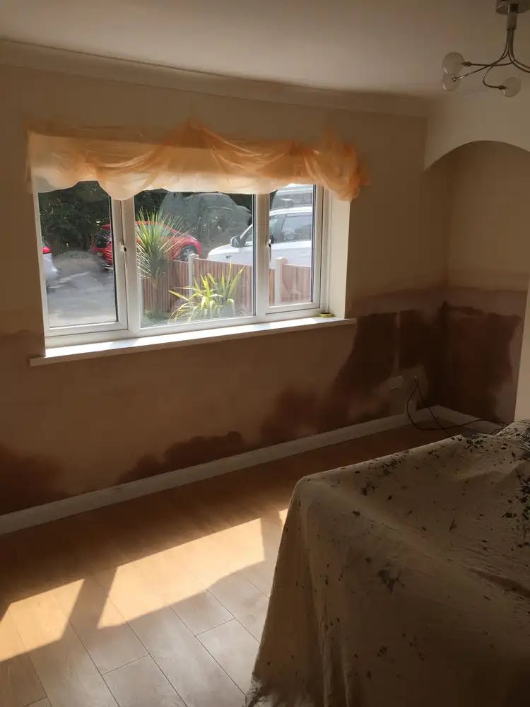 Dampcure plastering services include